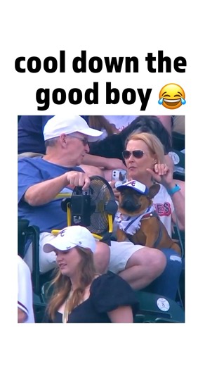 wrong type of hot dog 😅