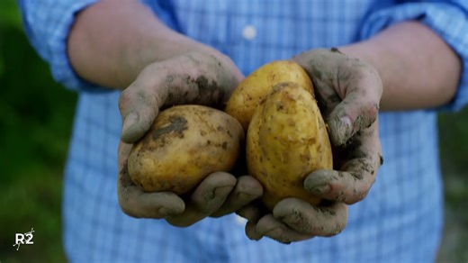 Genetic modification is just changing DNA – and DNA controls life and death