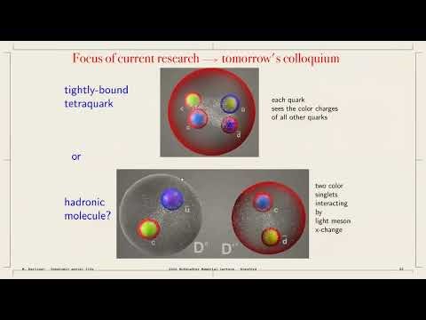 Marek Karliner "The Social Life of Subatomic Particles"