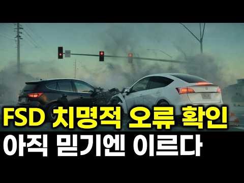FSD 사용 전 반드시 알아야 할 오류