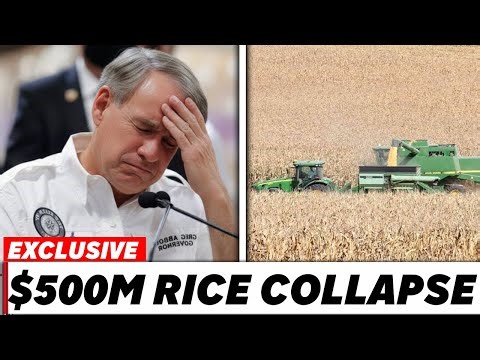 Governor Of Texas SHOCKED Over The Rice Farming Crisis - He FAILED The Farmers