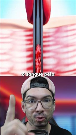 EXPLICANDO COMO FUNCIONA O BICO DE UM MOSQUITO