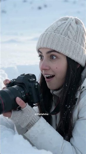 I Hid In A Snow Trench At Dawn… And The Fox Never Knew #shorts