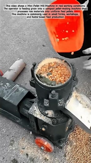 Small Feed Pellet Making Process! #shorts