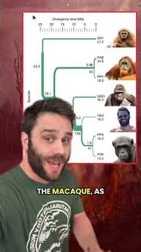 The Pyrocene | How Harnessing Fire Changed Human Biology #evolution #learning #science #burn #pyro