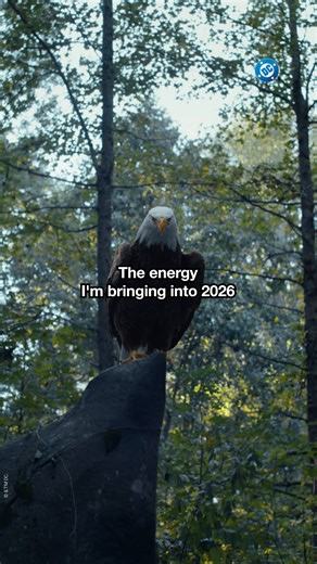 Battle screeching into 2026 🗣️ | DC