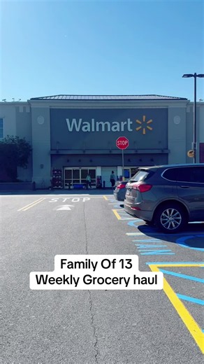 Family of 13 Weekly Walmart Grocery Haul