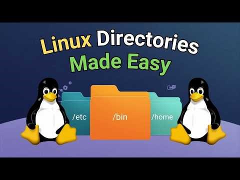 Linux Directories Made Easy: What Every Folder Does