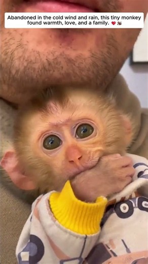 #Shorts #AnimalRescue #MonkeyRescue #BabyMonkey #SaveAnimals #Kindness #Heartwarming #SecondChance