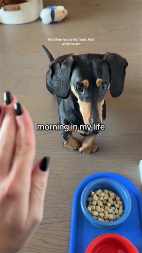 Morning in My Life in NYC: Simple NYC Morning Routine