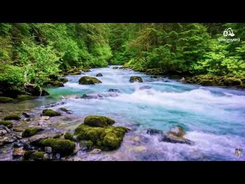 Relaxing Wednesday Night Live 🌙✨ | Calm Vibes, Midweek Reset & Stress Relief