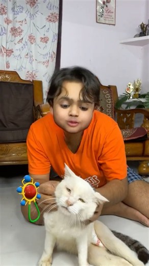 Tillu ki Billu ki New Wheel Chair🦽🐈#shorts #comedy #funny #olidavines