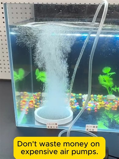 Enhance Your Fish Aquarium with DIY Decor Hacks