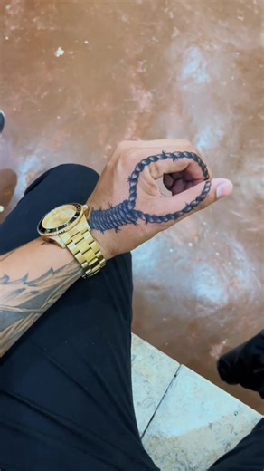 Why Lego Hands are Better: Exploring the Lego Hand Meme