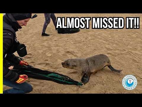 The Rescue We Nearly Walked Away From