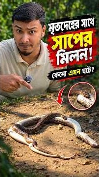 মৃত সাপের সাথে মিলন! বিরল ঘটনা। #snake #wildliferescue #snakerescue #awareness #reptiles #shorts