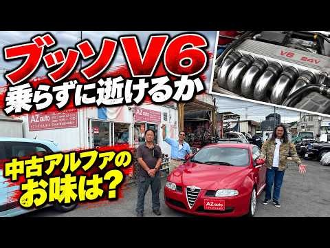 クルマ好きなら一度は味わいたい！アルファロメオの名V6、中古車のお味は？