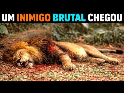 🚨 IT'S REAL: The WORST NIGHTMARE in the African Savannah is making LIONS TREMBLE