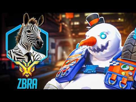 So I Got ZBRA on my Team! | Overwatch