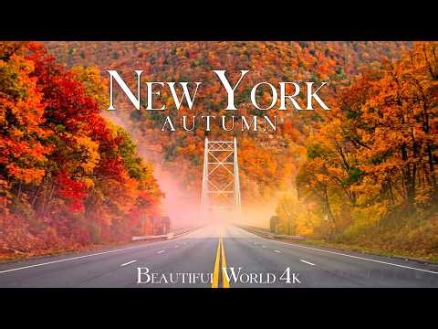 New York 4K 🌉 Autumn in the Empire State 🍁 Mountain Roads and Bridges Lost in the Fall Forest