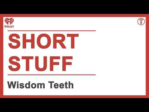 Short Stuff: Wisdom Teeth | STUFF YOU SHOULD KNOW