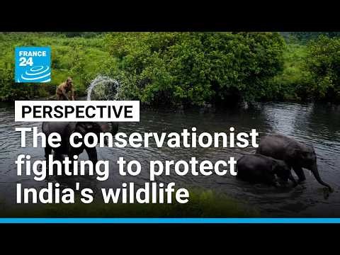 'My childhood passion is now a lifetime commitment': Wildlife conservationist Krithi Karanth