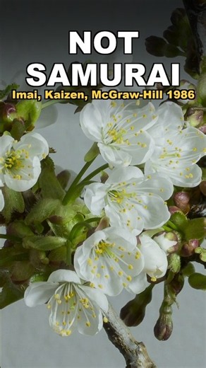 Kaizen Reached An English Book Cover In 1986, Not In Samurai Times
