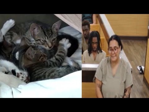 Woman accused of dumping cats in Broward appears to smirk when judge bans her from owning any pets