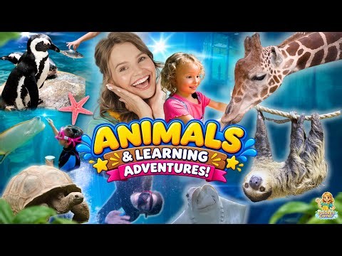 Silly Miss Lily Explores Aquarium, Farms, Indoor Playgrounds & More Fun Learning Videos for Kids!