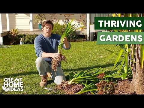 Top 10 Time Saving Gardening Tips | Great Home Ideas