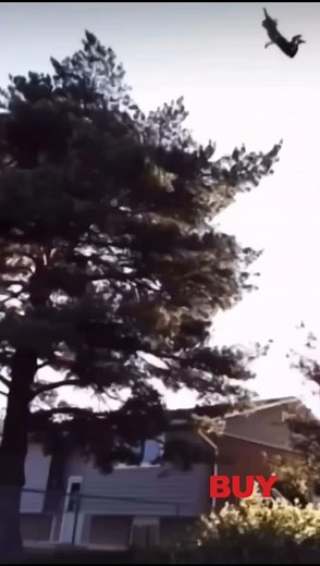 Alienware 16 Area-51 Gaming Laptop, AI Enabled Core Ultra 9 275HX Proc, 64GB DDR5, 2TB SSD, RTX 5090