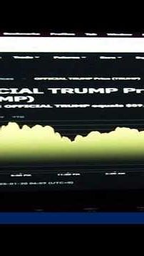 Trump made $2B during his first year back in office