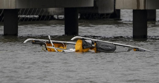 Deadly April 2025 chopper crash in Hudson River may have been caused by bird strike