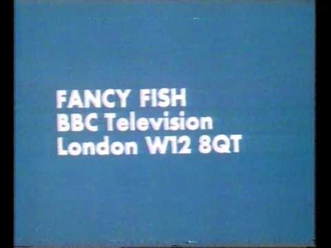 BBC2 Continuity | 28th April 1982