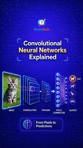 Convolutional Neural Networks Explained
