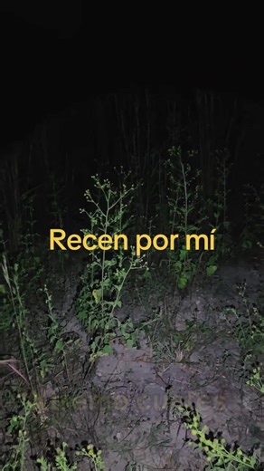 Mira el video completo, Mediante el Spirit box hicimos contacto con las almas del purgatorio que no pueden descansar, y una silueta negra se nos hizo presente #miedo #spiritbox #terror #fantas #paranormal
