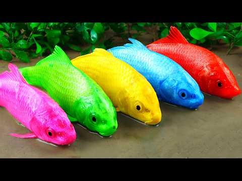 Best Of Small Fish Recipe | MINIATURE Fish Cooking Made EASY with Simple Recipe