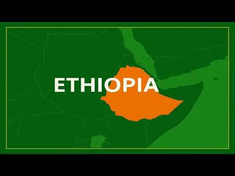 Ethiopia News Today – December 29, 2025 03:00 PM (New York time) | Africa News Highlights