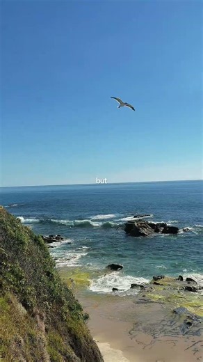 Laguna Beach California #travel #ocean #california #beach #surf #life