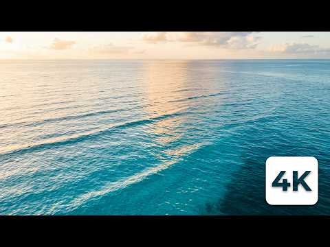 Calm Ocean Waves 4K – Relaxing Sea Sounds for Sleep, Study & Meditation
