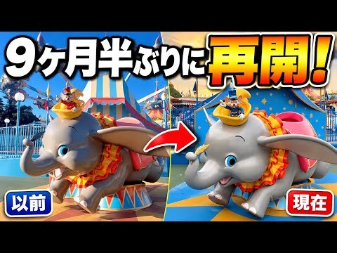 【衝撃の変化】9ヶ月半ぶりに再開‼️東京ディズニーランド「空飛ぶダンボ」がこんなに変わった⁉️新旧徹底比較‼️