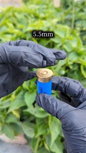 Slug vs Shotgun Shell Explosion ?