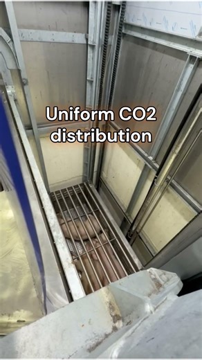 CO2 Pig Stunning System – Modern Slaughterhouse Solution