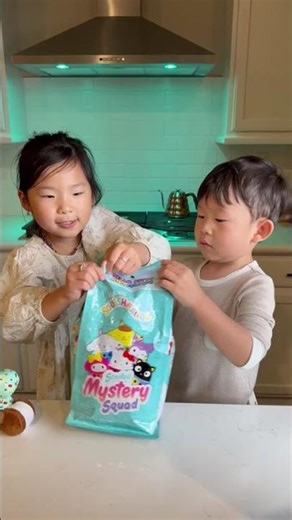 LABUBU or SQUISHMALLOWS?!