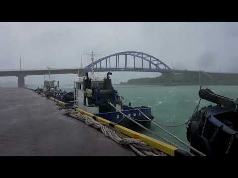 Typhoon Bavi pummels Japanese island with violent winds, heavy rain
