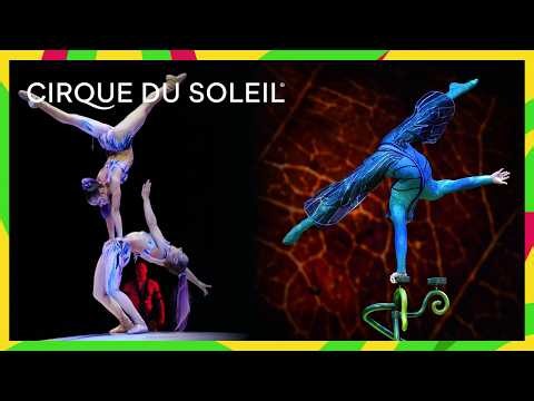 Strength in Stillness | Cirque du Soleil