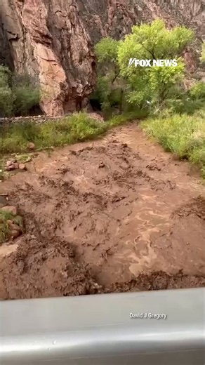 A deadly wall of water tore through the Grand Canyon over the weekend, leaving one person dead and about 15 others missing as crews race to search the devastated terrain.The flash flood ripped through Bright Angel Canyon and the Phantom Ranch area, destroying nearly all https://t.co/UEbUFEAPjx