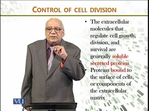 Control of Cell Division | Cell Biology | BIO5105_Topic181