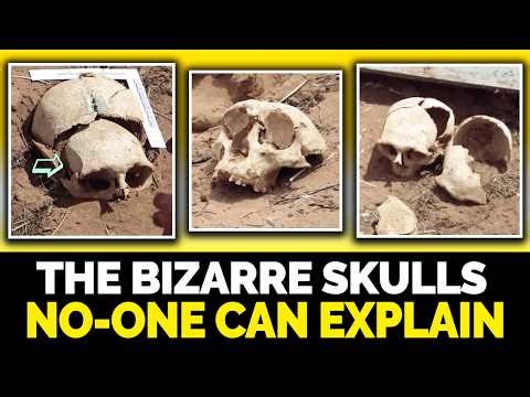 Forbidden Skulls of Australia | Hybrid Humans or Hoax?