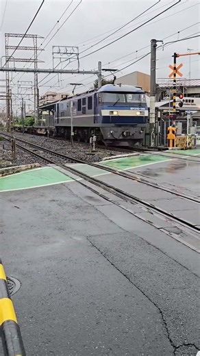 南武支線 上り EF210-141+コキ 5692レ 根岸→川崎貨物 貨物列車 小田栄駅 #南武支線 #EF210+コキ #根岸→川崎貨物 #貨物列車 #小田栄駅#JR貨物#ECO-POWER 桃太郎